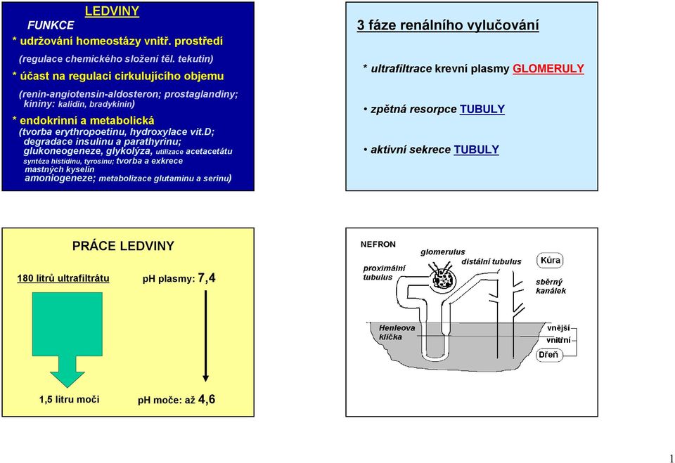 erythropoetinu, hydroxylace vit.