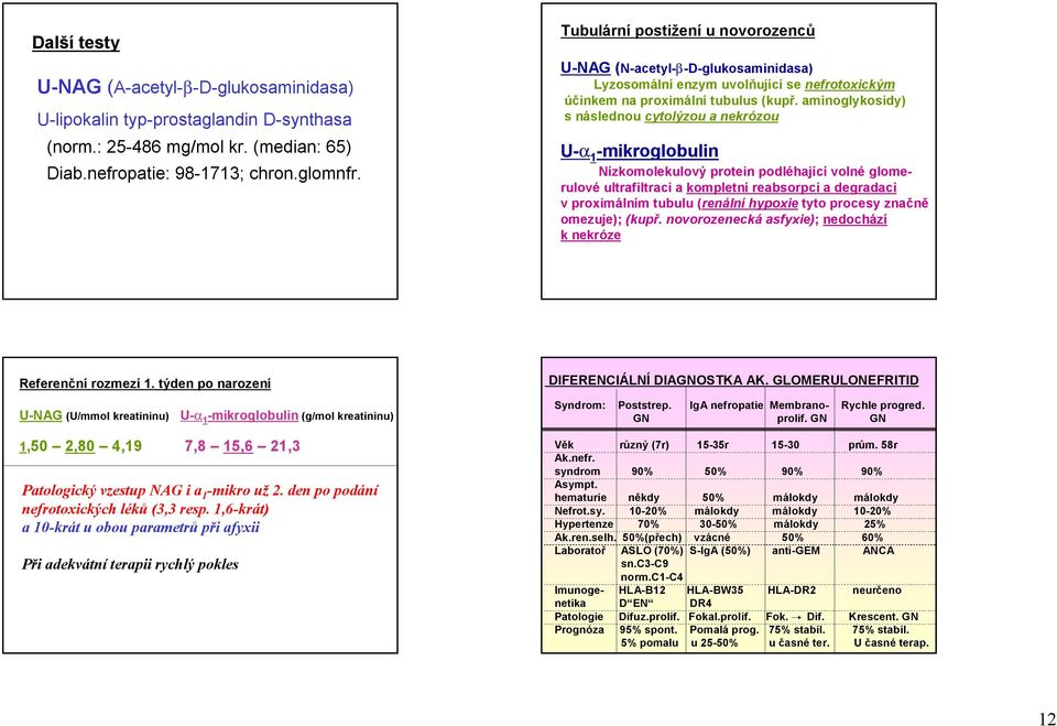 aminoglykosidy) s následnou cytolýzou a nekrózou U-a 1 -mikroglobulin Nízkomolekulový protein podléhající volné glomerulové ultrafiltraci a kompletní reabsorpci a degradaci v proximálním tubulu