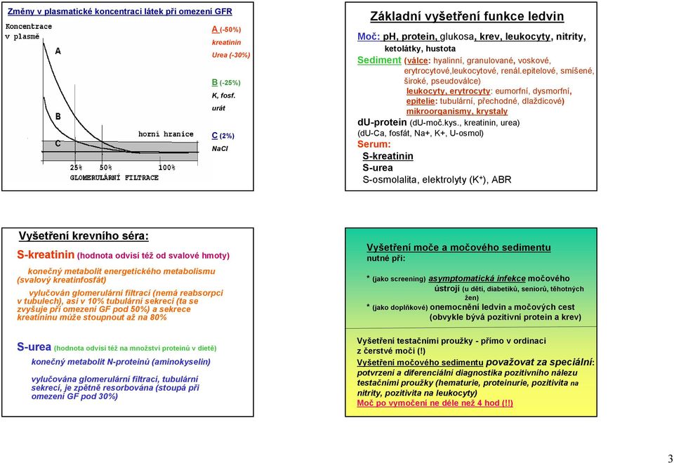 renál.epitelové, smíšené, široké, pseudoválce) leukocyty, erytrocyty: eumorfní, dysmorfní, epitelie: tubulární, přechodné, dlaždicové) mikroorganismy, krystaly du-protein (du-moč.kys.