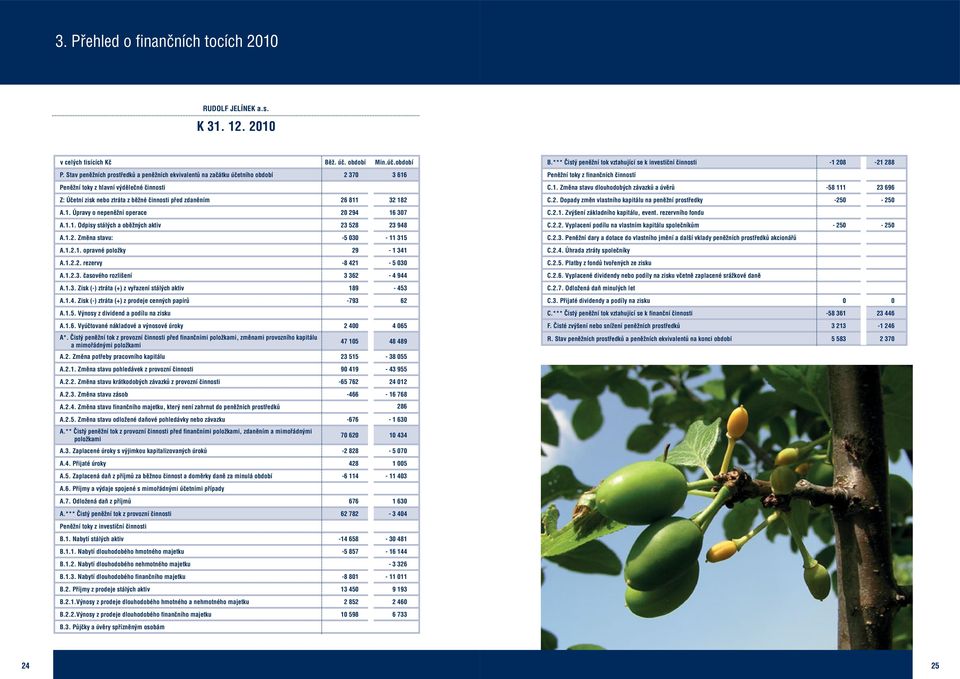 182 A.1. Úpravy o nepeněžní operace 20 294 16 307 A.1.1. Odpisy stálých a oběžných aktiv 23 528 23 948 A.1.2. Změna stavu: -5 030-11 315 A.1.2.1. opravné položky 29-1 341 A.1.2.2. rezervy -8 421-5 030 A.