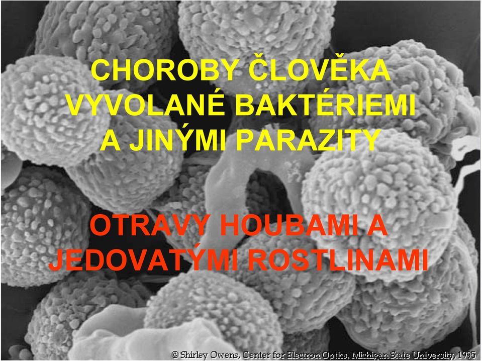 JINÝMI PARAZITY OTRAVY