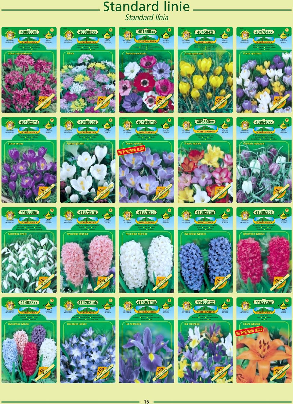Frízia Frezje Frézia Fresien Freesia Crocus hybridus 0960xx /6 cm Šafran Szafran Sáfrány Krokus Crocus Crocus hybridus Šafran Szafran Pompás sáfrány Krokus Crocus 7/8 cm ZHRDNÍ KROKUS /+ cm ks H O R