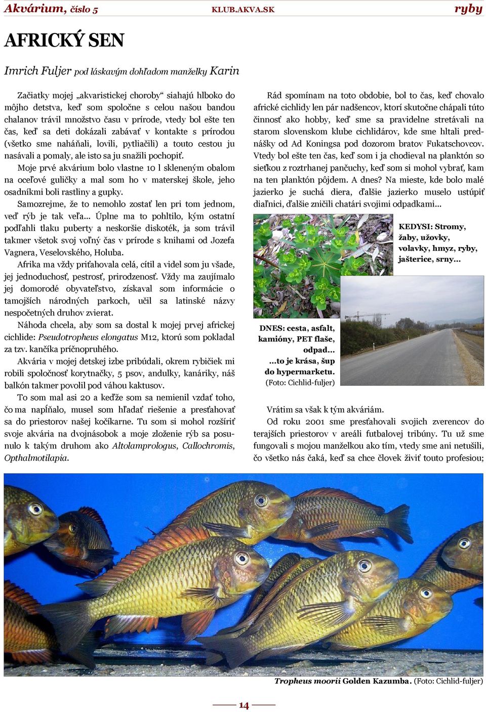 snažili pochopiť. Moje prvé akvárium bolo vlastne 10 l skleneným obalom na oceľové guličky a mal som ho v materskej škole, jeho osadníkmi boli rastliny a gupky.