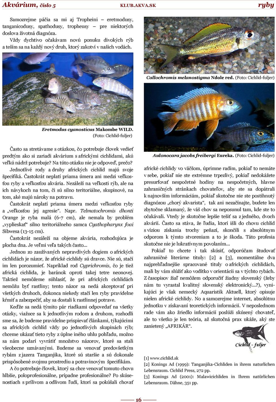 (Foto: Cichlid-fuljer) Eretmodus cyanosticus Makombe WILD.