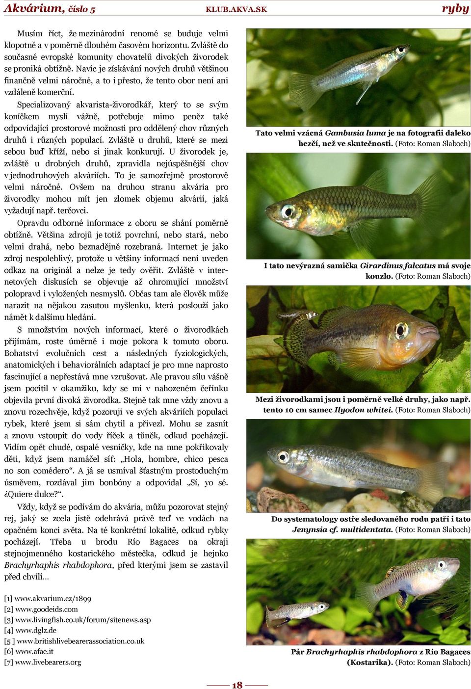 Specializovaný akvarista-živorodkář, který to se svým koníčkem myslí vážně, potřebuje mimo peněz také odpovídající prostorové možnosti pro oddělený chov různých druhů i různých populací.