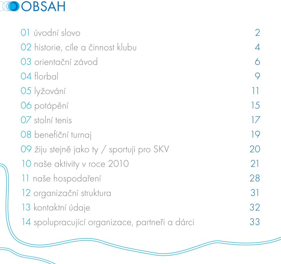 pro SKV 10 naše aktivity v roce 2010 11 naše hospodaření 12 organizační struktura 13