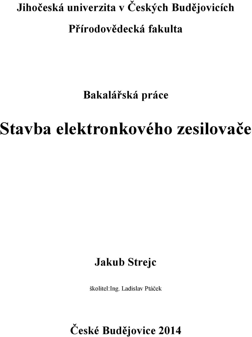 Stavba elektronkového zesilovače Jakub Strejc