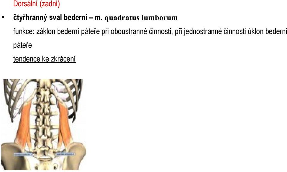 bederní páteře při oboustranné činnosti,