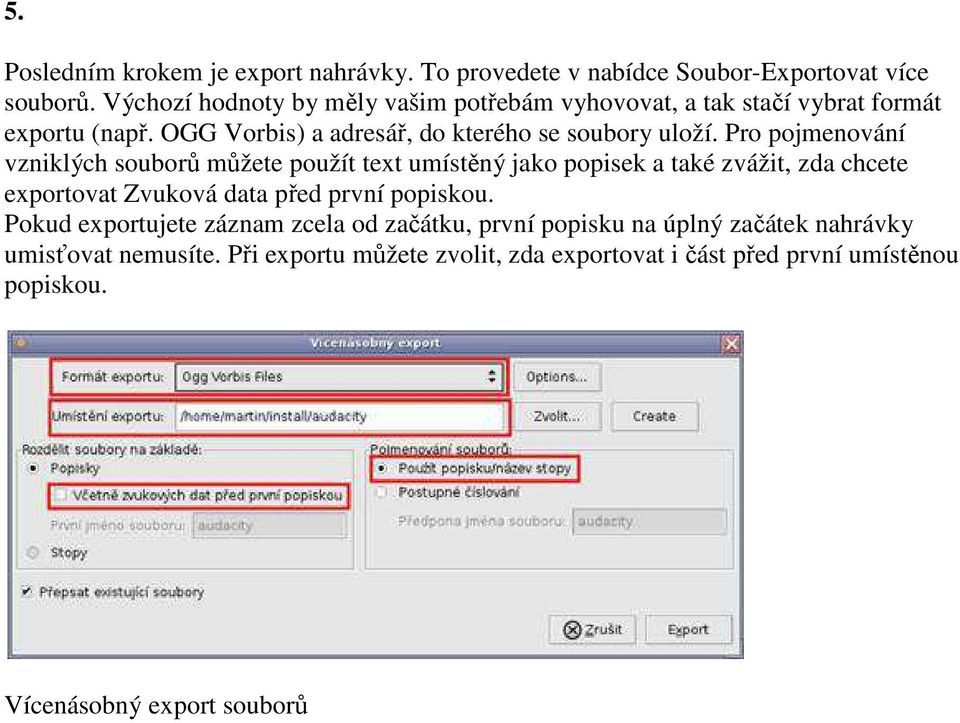 Pro pojmenování vzniklých souborů můžete použít text umístěný jako popisek a také zvážit, zda chcete exportovat Zvuková data před první popiskou.