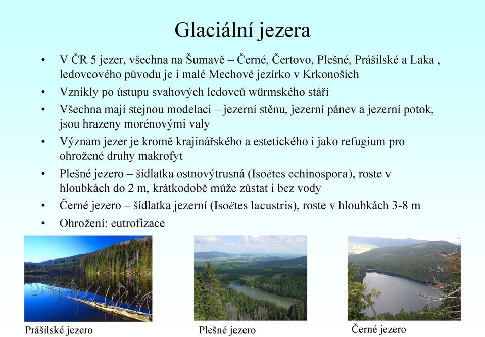 kromě krajinářského a estetického i jako refugium pro ohrožené druhy makrofyt Plešné jezero šídlatka ostnovýtrusná (Isoëtes echinospora), roste v hloubkách do 2 m,