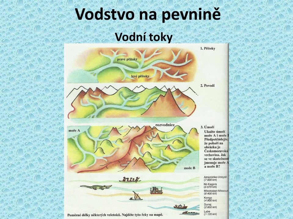 pevnině