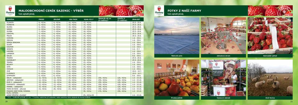5.- 20.6. DAROYAL 6,- Kč/ks 6,- Kč/ks 10,- Kč/ks 15,- Kč/ks 25.5.- 20.6. POLKA 6,- Kč/ks 6,- Kč/ks 10,- Kč/ks 15,- Kč/ks 25.5.- 20.6. KORONA 6,- Kč/ks 6,- Kč/ks 10,- Kč/ks 15,- Kč/ks 1.6. - 30.6. INDUKA 6,- Kč/ks 6,- Kč/ks 10,- Kč/ks 15,- Kč/ks 1.