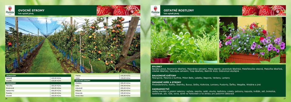 Bazalka pravá, Rozmarýn lékařský, Majoránka zahradní, Máta peprná, Levandule lékařská, Mateřídouška obecná, Meduňka lékařská, Libeček lékařský, Saturejka zahradní, Yzop lékařský, Bedrník Anýz,