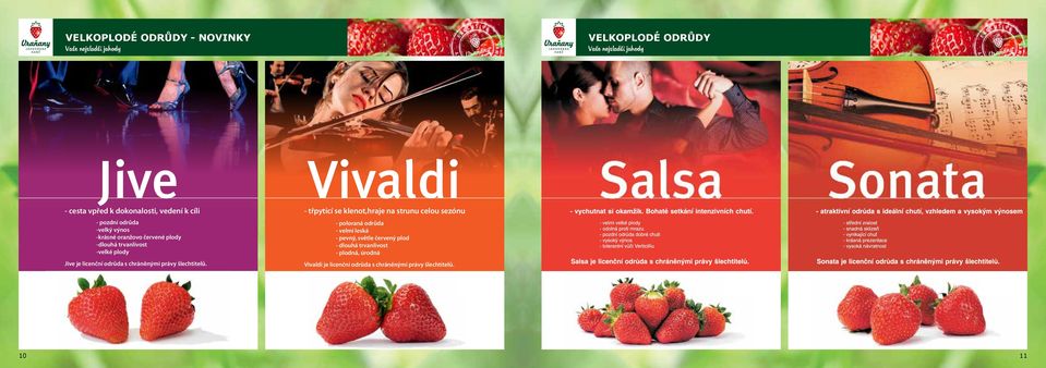 Mooie oranjerode vruchten Schöne orangerote Früchte Goede houdbaarheid - pozdní odrůda Gute Lagerfähigkeit Grote vruchten -velký výnos Spätsorte Late variety Große Früchte Laat ras Hoge opbrengst