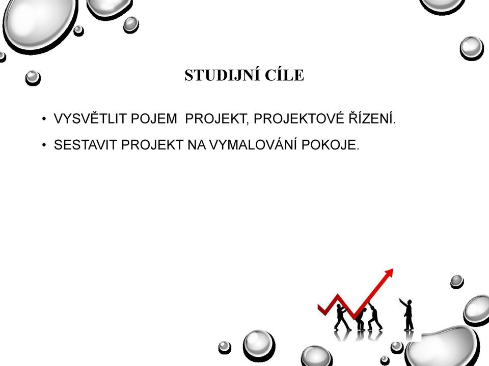 PROJEKTOVÉ ŘÍZENÍ.