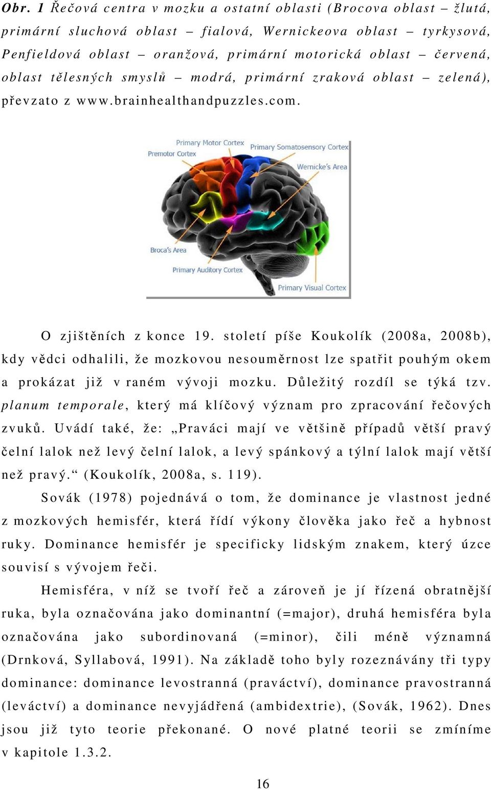 století píše Koukolík (2008a, 2008b), kdy vědci odhalili, že mozkovou nesouměrnost lze spatřit pouhým okem a prokázat již v raném vývoji mozku. Důležitý rozdíl se týká tzv.