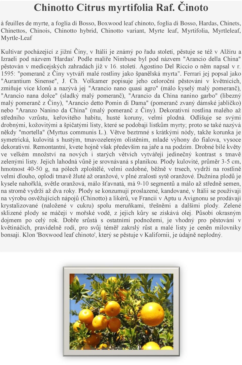 Myrtle-Leaf Kultivar pocházející z jižní Číny, v Itálii je známý po řadu století, pěstuje se též v Alžíru a Izraeli pod názvem 'Hardas'.