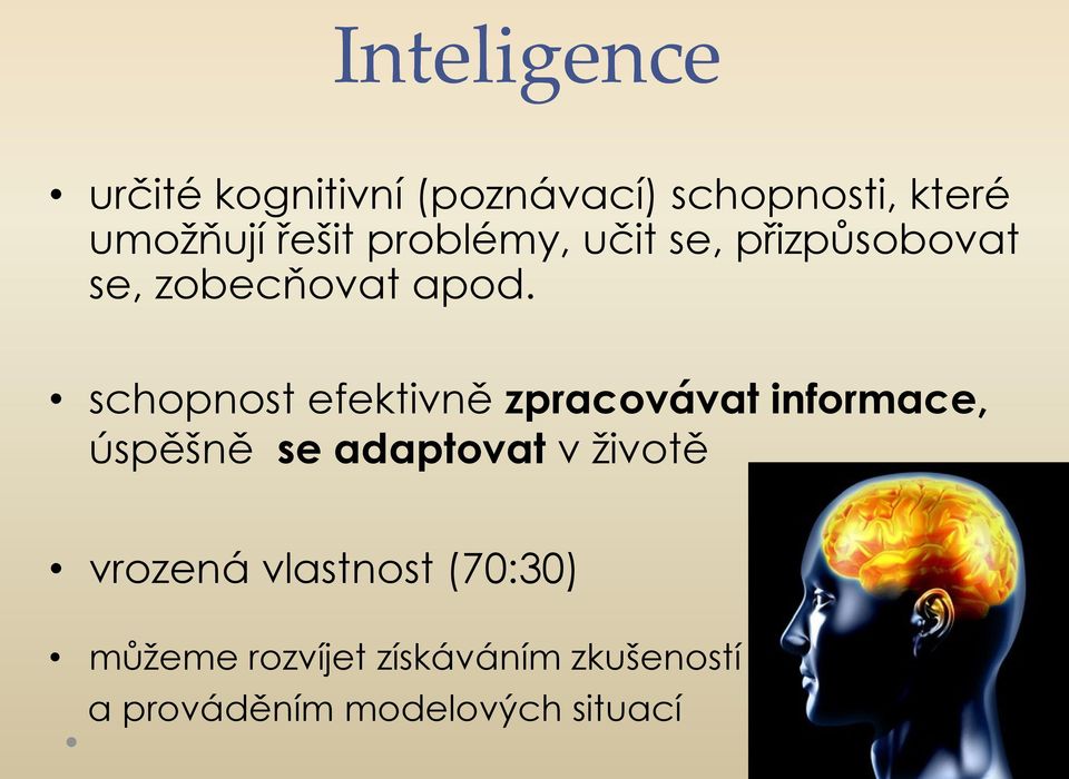 schopnost efektivně zpracovávat informace, úspěšně se adaptovat v životě