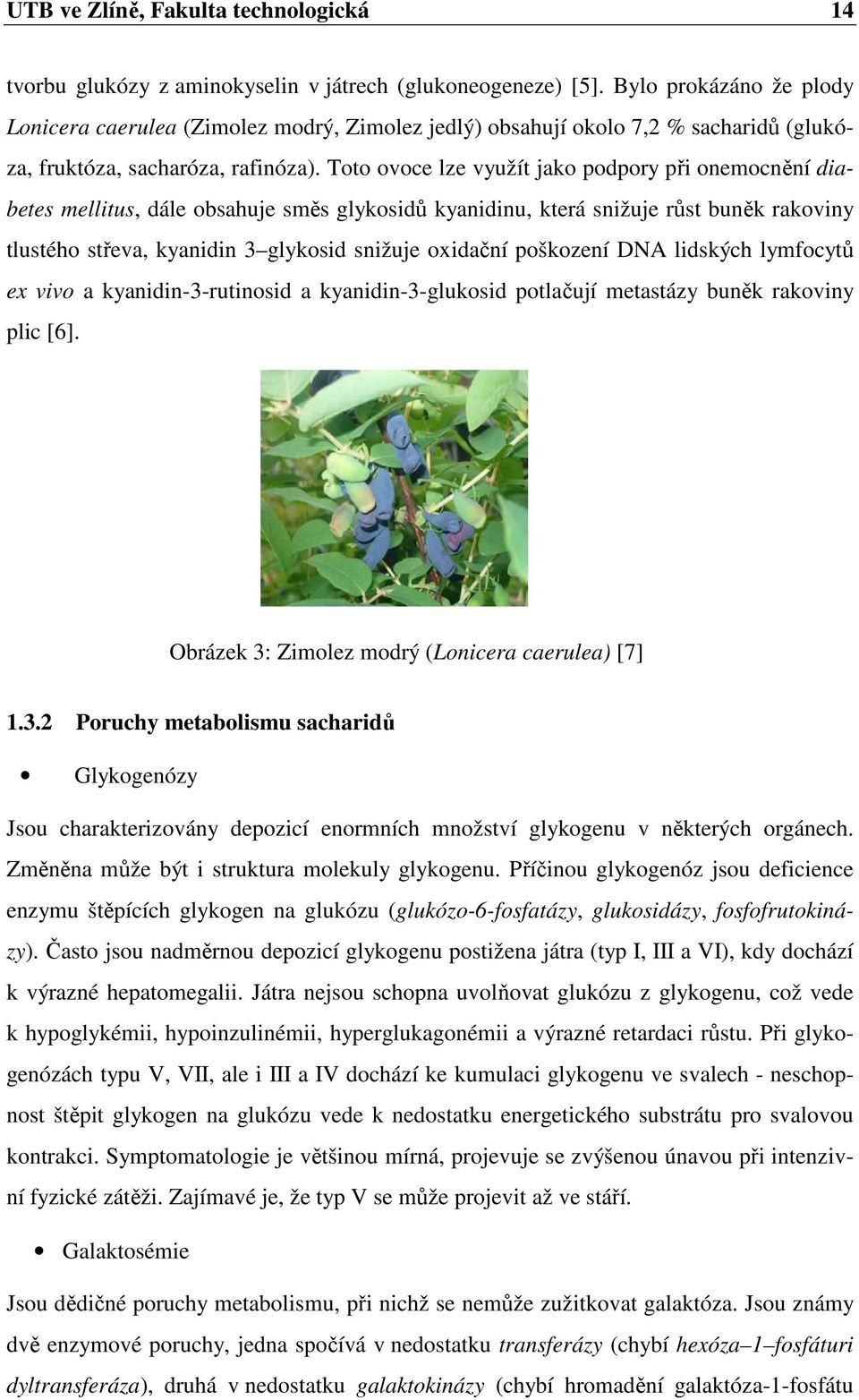 Toto ovoce lze využít jako podpory při onemocnění diabetes mellitus, dále obsahuje směs glykosidů kyanidinu, která snižuje růst buněk rakoviny tlustého střeva, kyanidin 3 glykosid snižuje oxidační