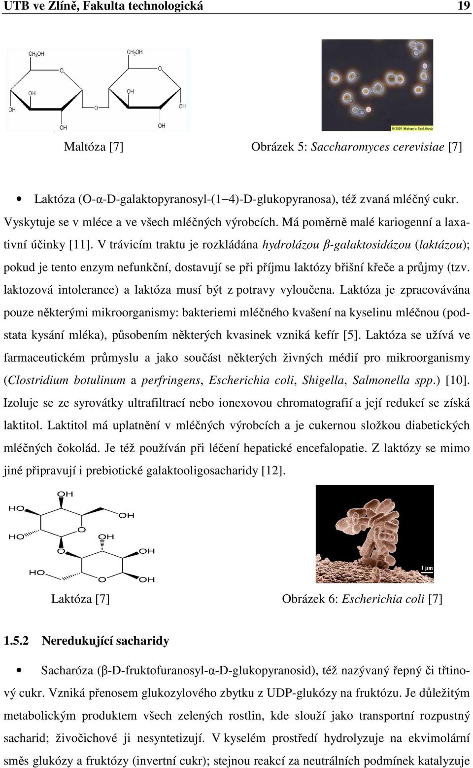 V trávicím traktu je rozkládána hydrolázou β-galaktosidázou (laktázou); pokud je tento enzym nefunkční, dostavují se při příjmu laktózy břišní křeče a průjmy (tzv.