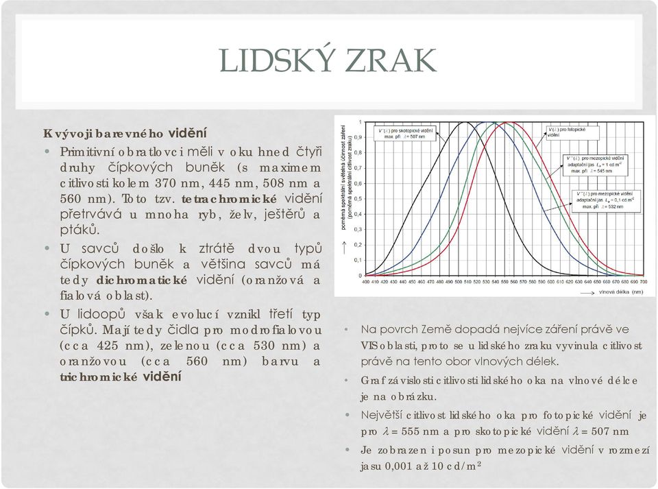 U lidoopů však evolucí vznikl třetí typ čípků.