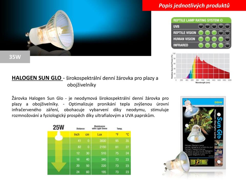 obojživelníky.