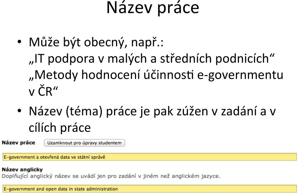 Metody hodnocení účinnosg e- governmentu v ČR