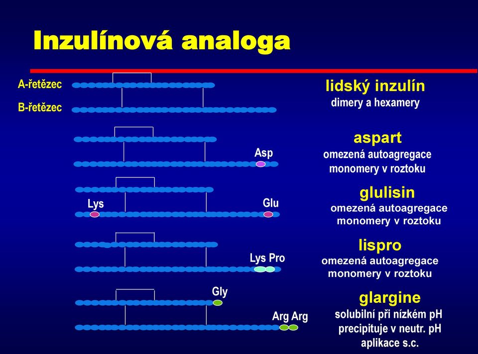 autoagregace monomery v roztoku Gly Lys Pro Arg Arg lispro omezená autoagregace