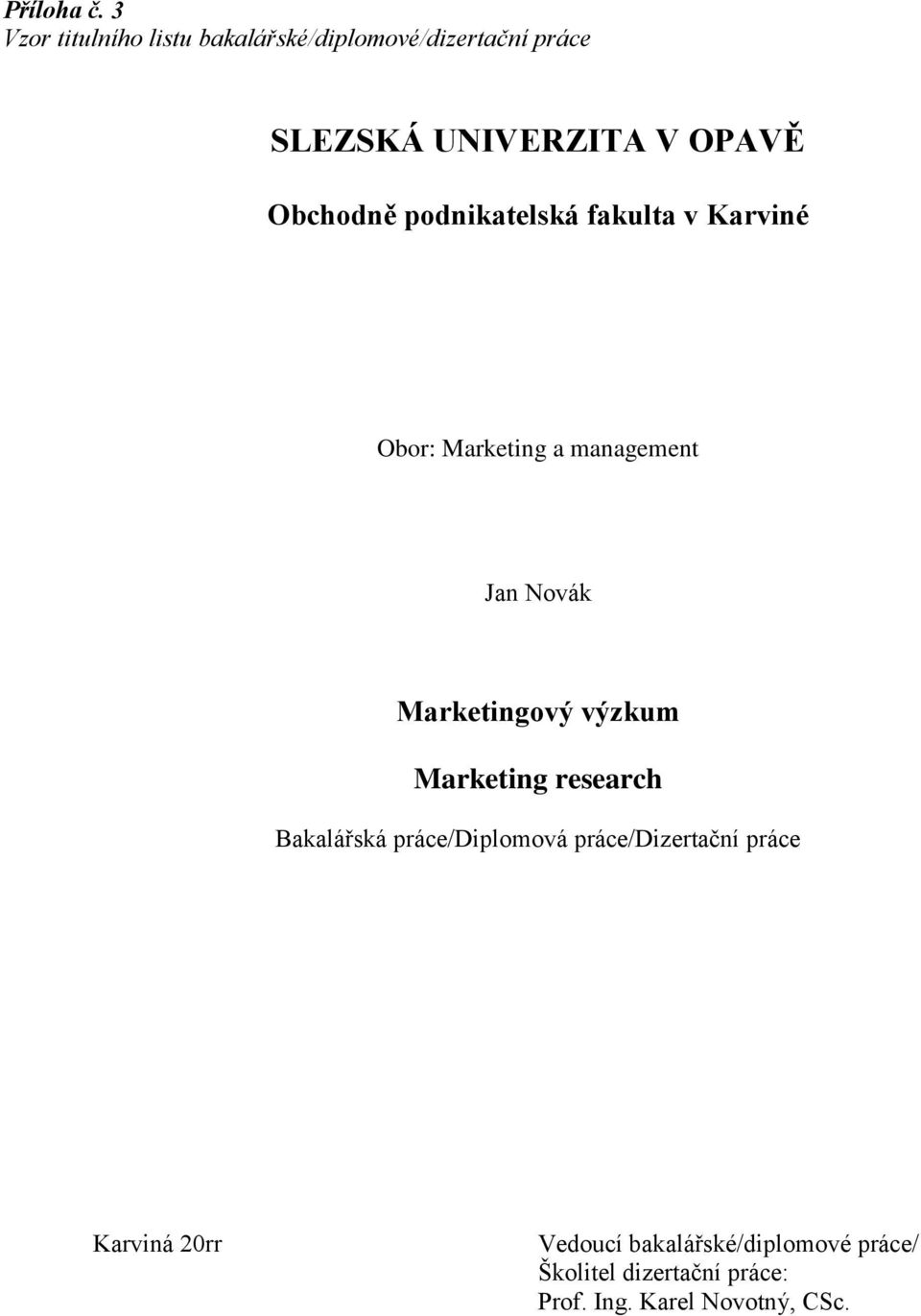 Obchodně podnikatelská fakulta v Karviné Obor: Marketing a management Jan Novák Marketingový