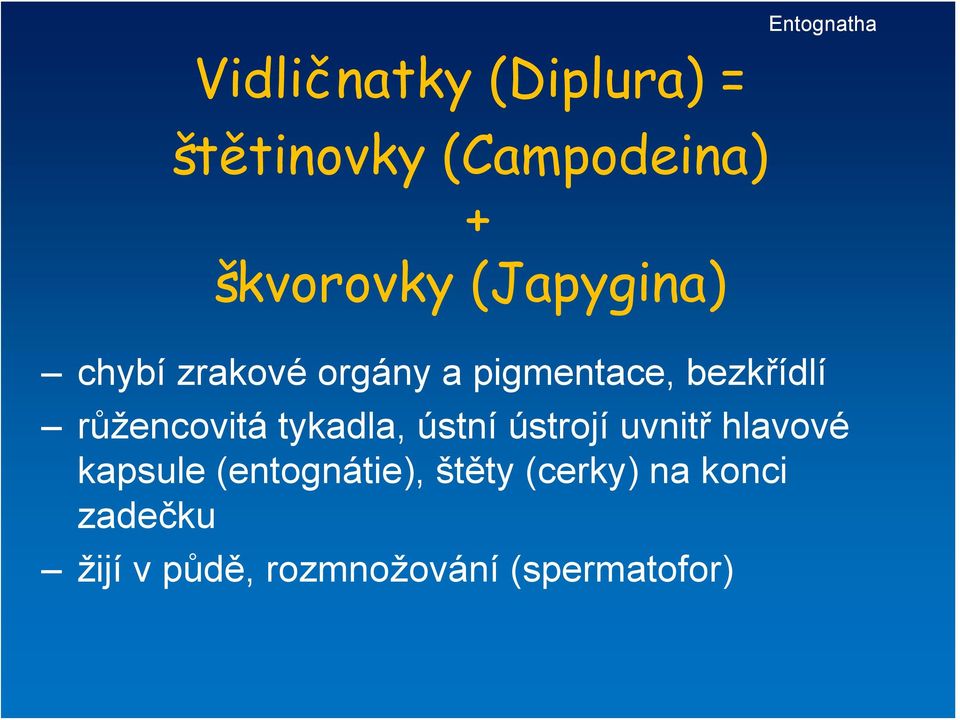 růžencovitá tykadla, ústní ústrojí uvnitř hlavové kapsule