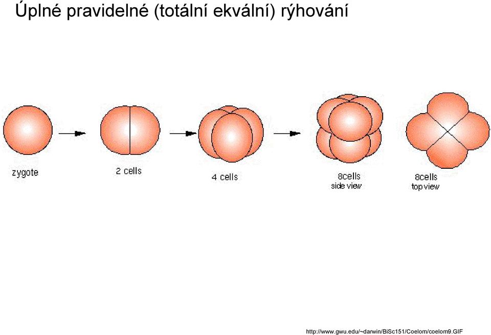 rýhování http://www.gwu.