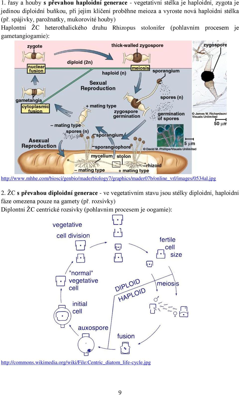 mhhe.com/biosci/genbio/maderbiology7/graphics/mader07b/online_vrl/images/0534al.jpg 2.