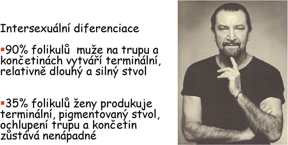 silný stvol 35% folikulů ženy produkuje terminální,