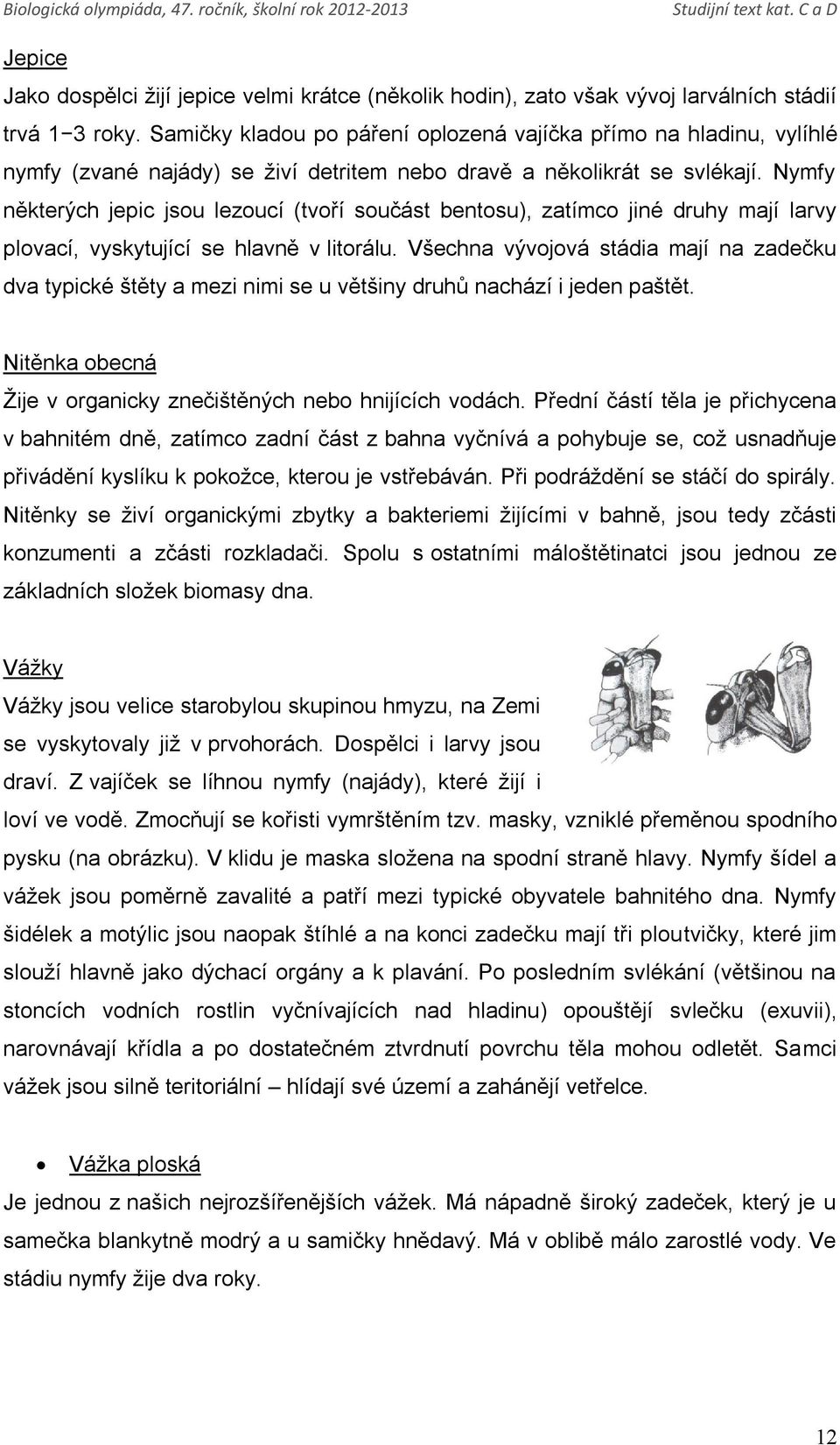 Nymfy některých jepic jsou lezoucí (tvoří součást bentosu), zatímco jiné druhy mají larvy plovací, vyskytující se hlavně v litorálu.