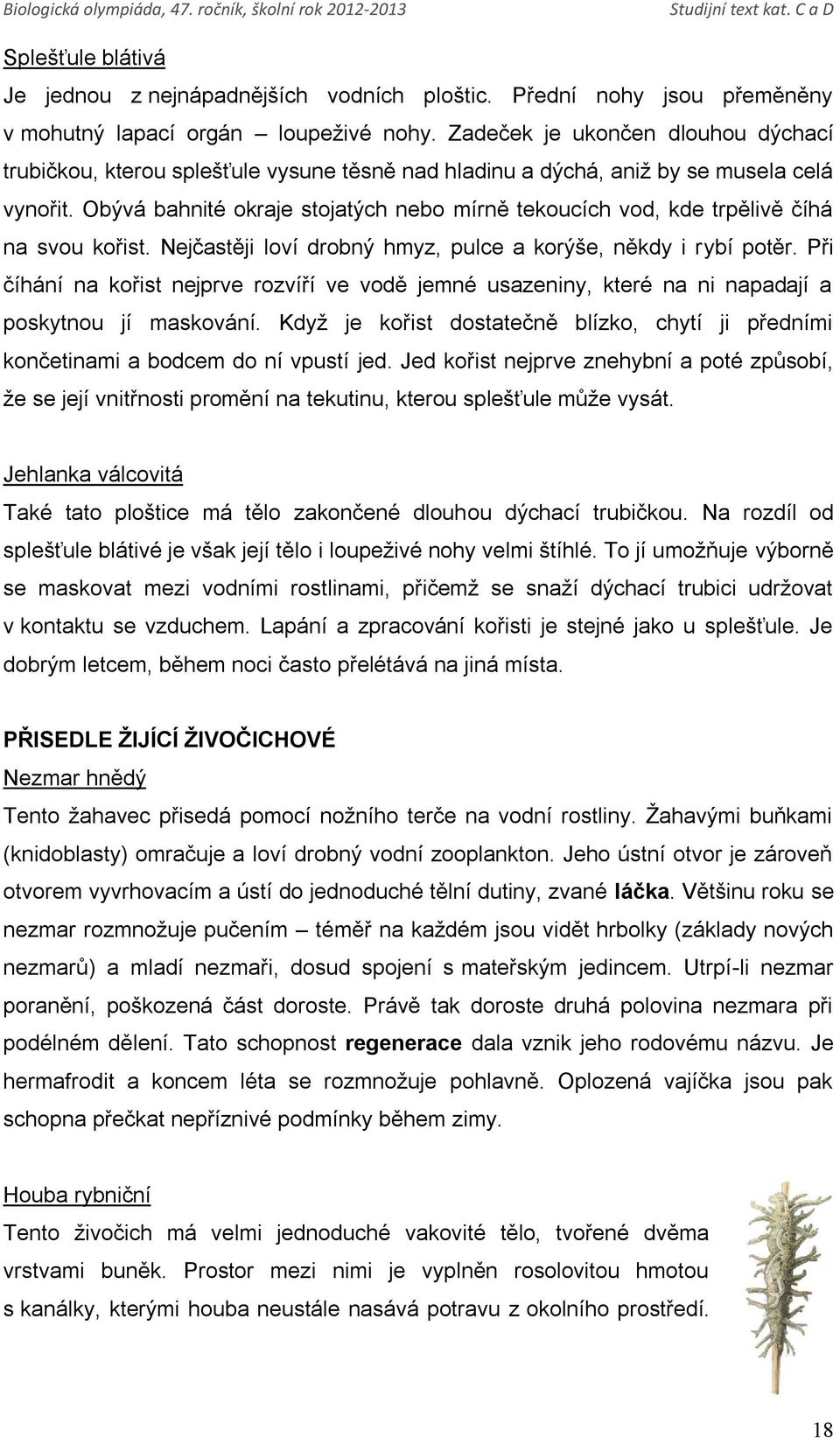 Obývá bahnité okraje stojatých nebo mírně tekoucích vod, kde trpělivě číhá na svou kořist. Nejčastěji loví drobný hmyz, pulce a korýše, někdy i rybí potěr.