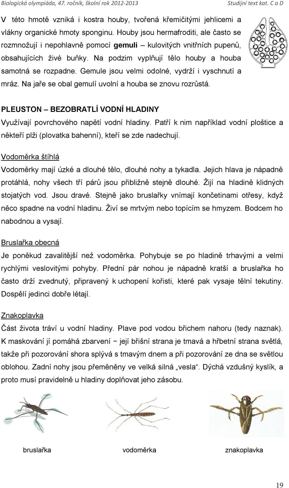 Gemule jsou velmi odolné, vydrží i vyschnutí a mráz. Na jaře se obal gemulí uvolní a houba se znovu rozrůstá. PLEUSTON BEZOBRATLÍ VODNÍ HLADINY Využívají povrchového napětí vodní hladiny.