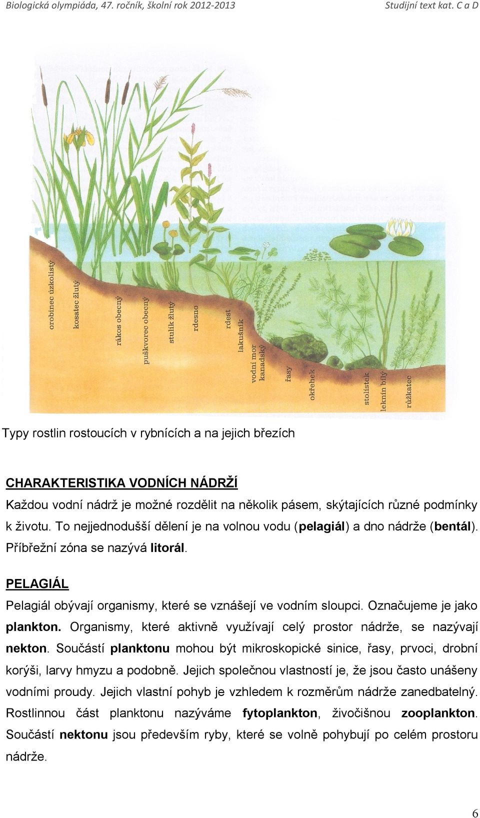 Označujeme je jako plankton. Organismy, které aktivně využívají celý prostor nádrže, se nazývají nekton.