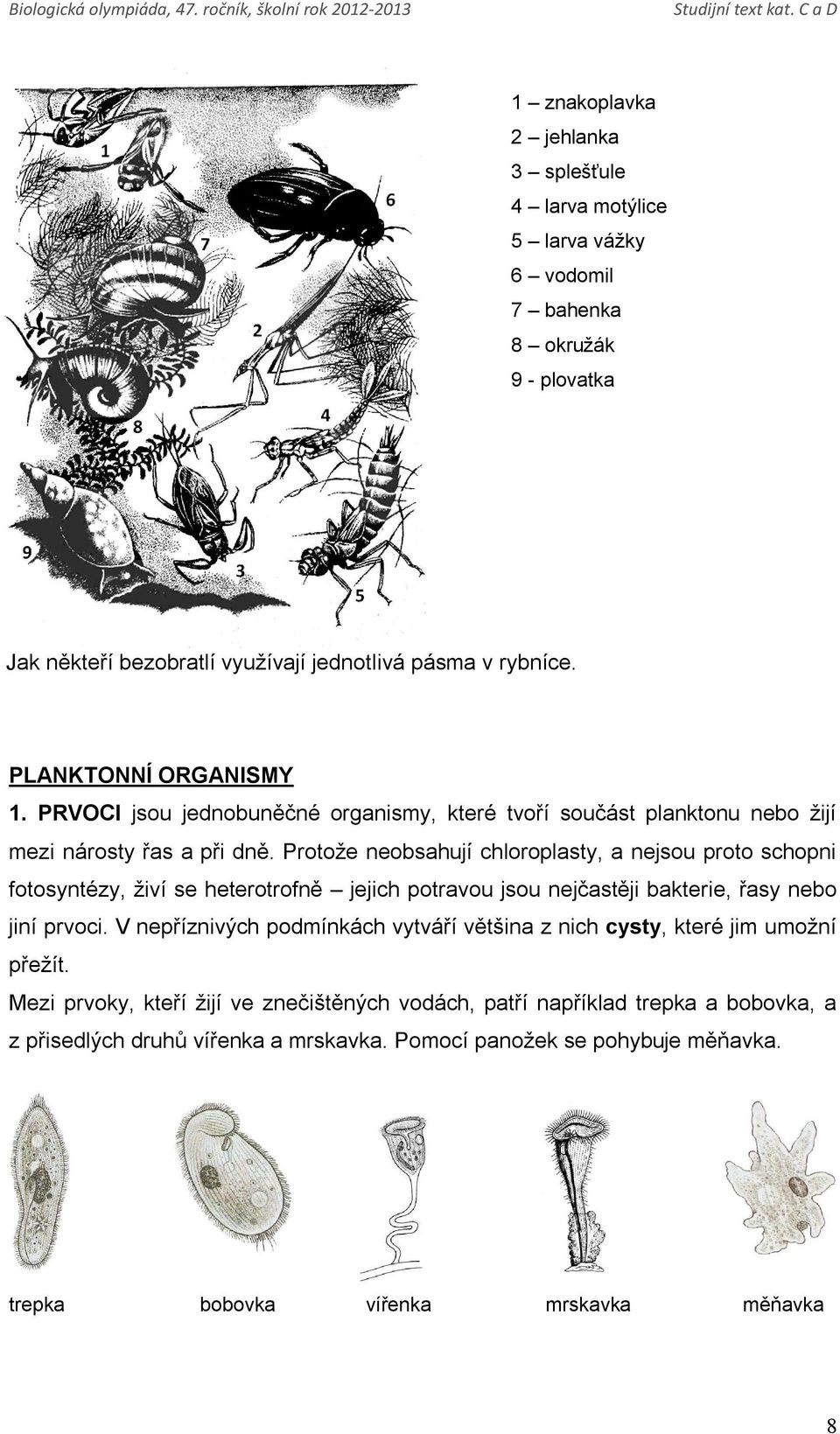 Protože neobsahují chloroplasty, a nejsou proto schopni fotosyntézy, živí se heterotrofně jejich potravou jsou nejčastěji bakterie, řasy nebo jiní prvoci.
