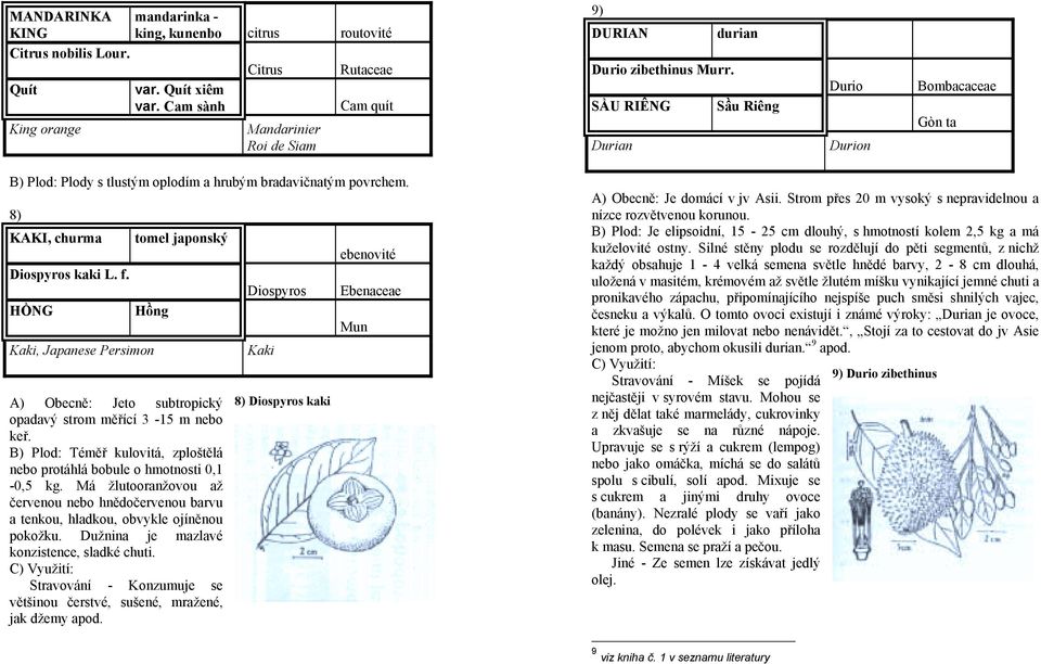 SẦU RIÊNG Sầu Riêng Durian Durio Durion Bombacaceae Gòn ta B) Plod: Plody s tlustým oplodím a hrubým bradavičnatým povrchem. 8) KAKI, churma tomel japonský Diospyros kaki L. f.