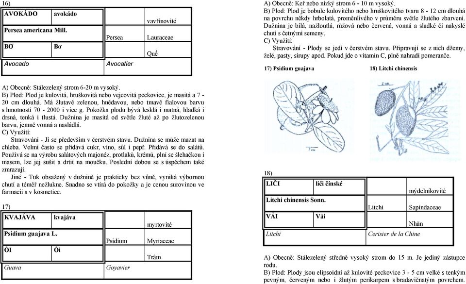 Dužnina je bílá, nažloutlá, růžová nebo červená, vonná a sladké či nakyslé chuti s četnými semeny. Stravování - Plody se jedí v čerstvém stavu. Připravují se z nich džemy, želé, pasty, sirupy apod.