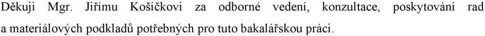 vedení, konzultace, poskytování