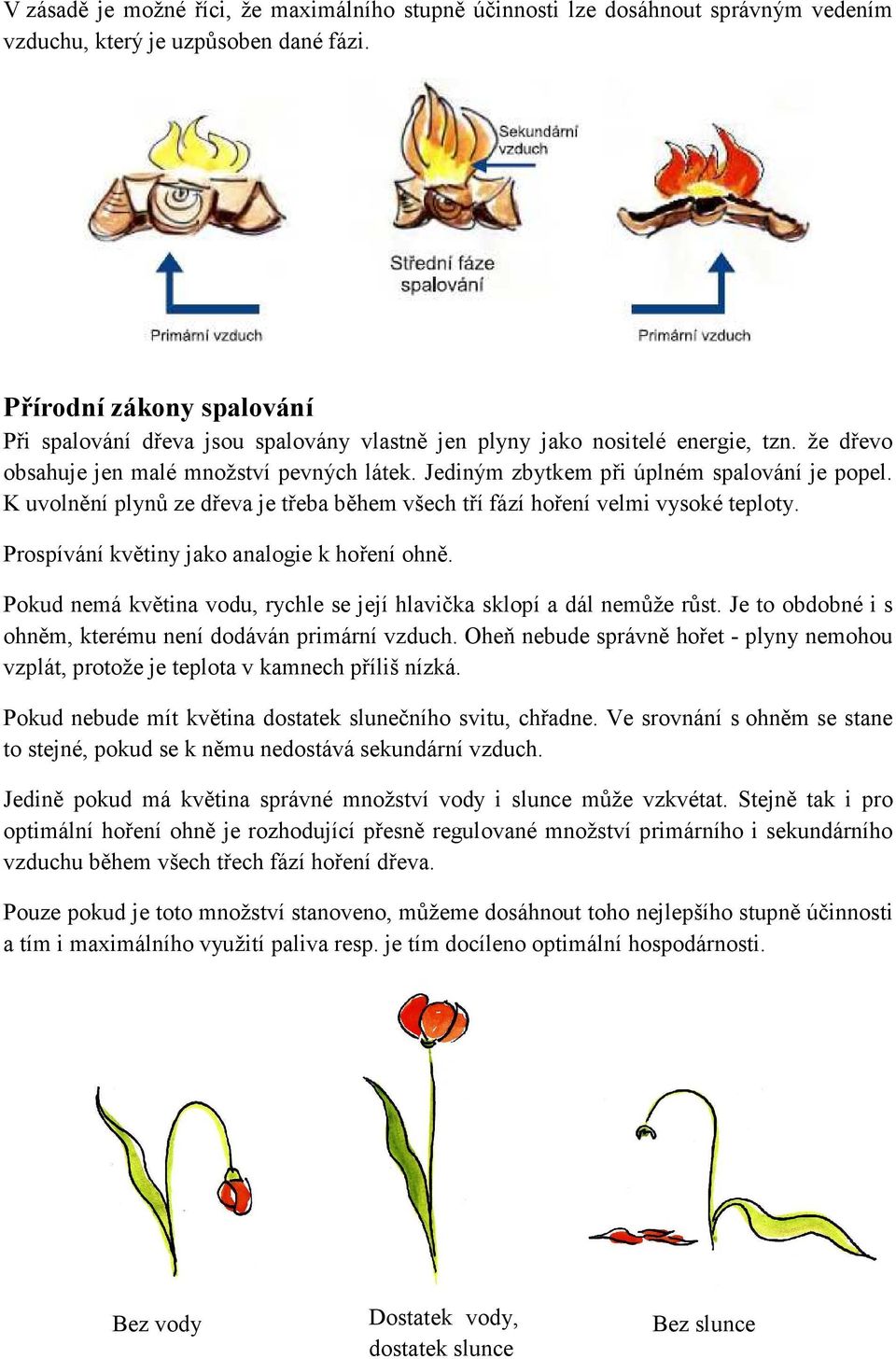 Jediným zbytkem při úplném spalování je popel. K uvolnění plynů ze dřeva je třeba během všech tří fází hoření velmi vysoké teploty. Prospívání květiny jako analogie k hoření ohně.