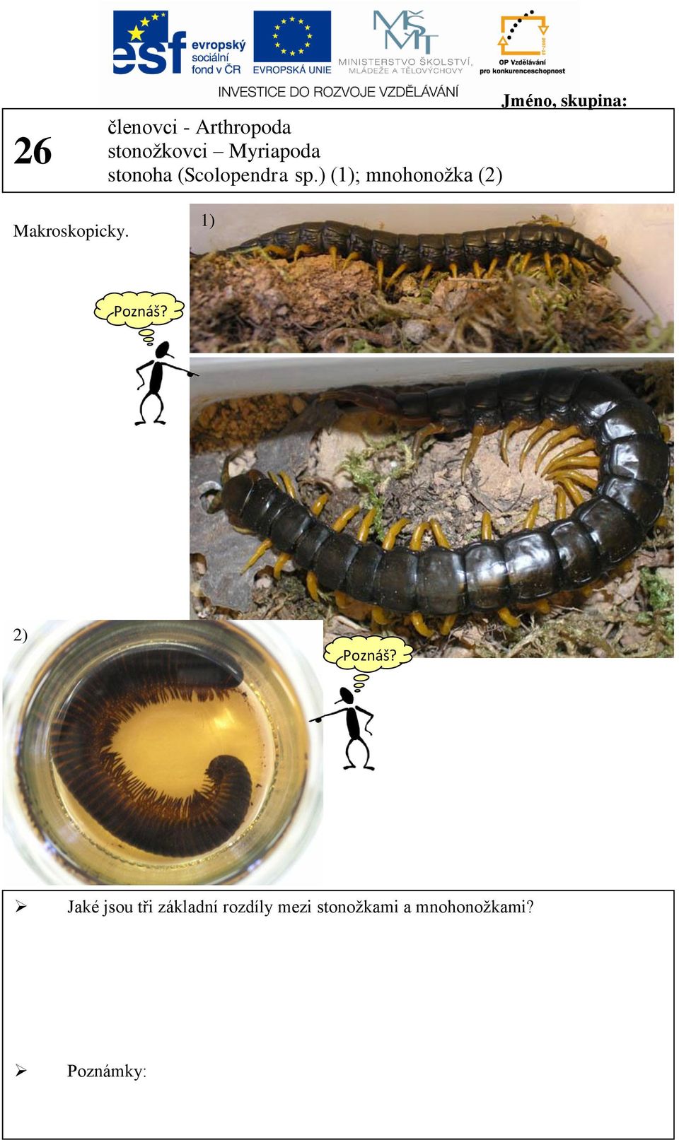 ) (1); mnohonožka (2) Makroskopicky.