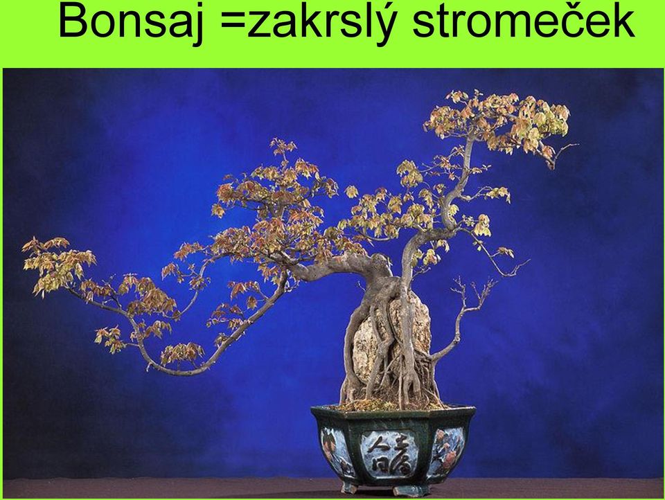 stromeček