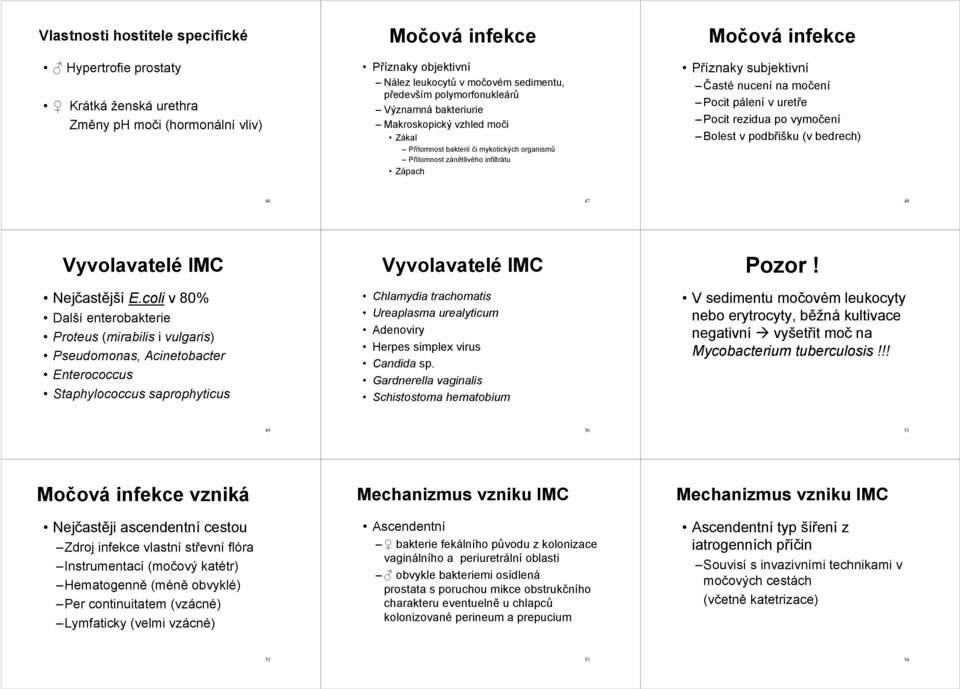 nucení na močení Pocit pálení v uretře Pocit rezidua po vymočení Bolest v podbřišku (v bedrech) 46 47 48 Vyvolavatelé IMC Nejčastější E.