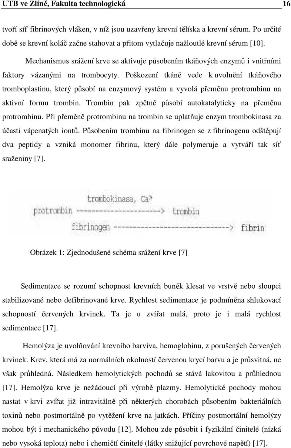 Mechanismus srážení krve se aktivuje působením tkáňových enzymů i vnitřními faktory vázanými na trombocyty.