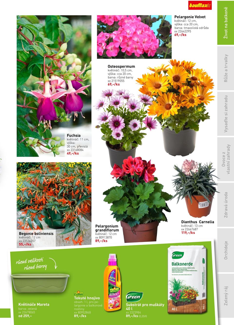 květináč: 12 cm xx 23536357 55, /ks různé velikosti různé barvy Pelargonium grandiflorum květináč: 12 cm xx 80913870 89, /ks Dianthus Carnelia květináč: 13 cm xx 22667687 119, /ks