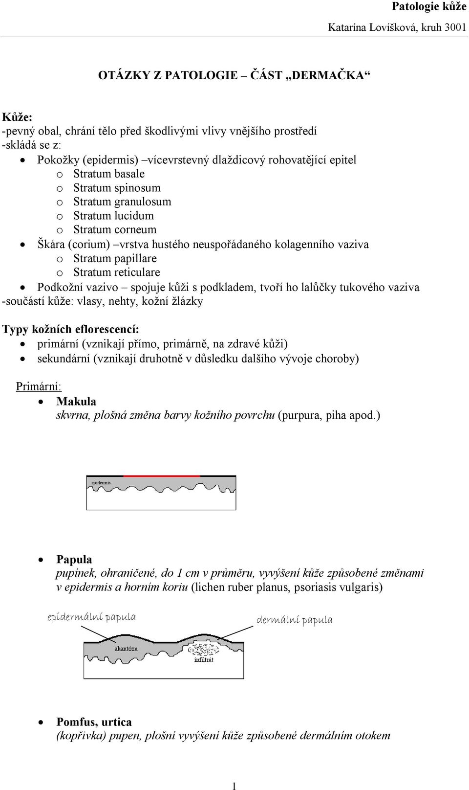 spojuje kůži s podkladem, tvoří ho lalůčky tukového vaziva -součástí kůže: vlasy, nehty, kožní žlázky Typy kožních eflorescencí: primární (vznikají přímo, primárně, na zdravé kůži) sekundární