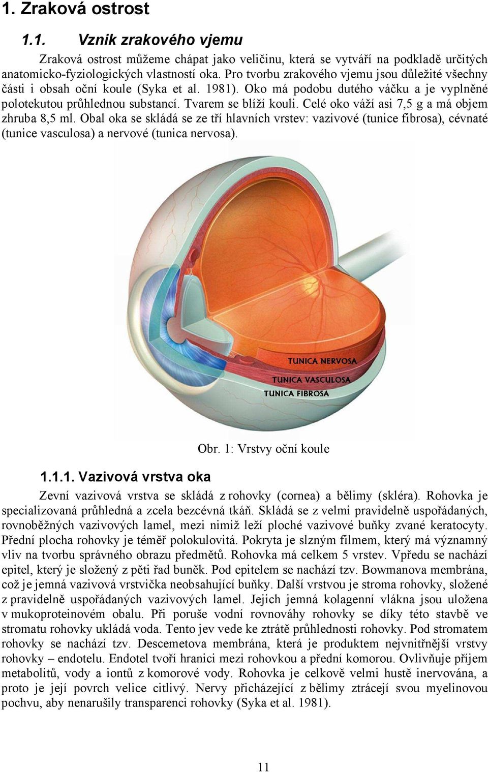 Celé oko váží asi 7,5 g a má objem zhruba 8,5 ml. Obal oka se skládá se ze tří hlavních vrstev: vazivové (tunice fibrosa), cévnaté (tunice vasculosa) a nervové (tunica nervosa). Obr.