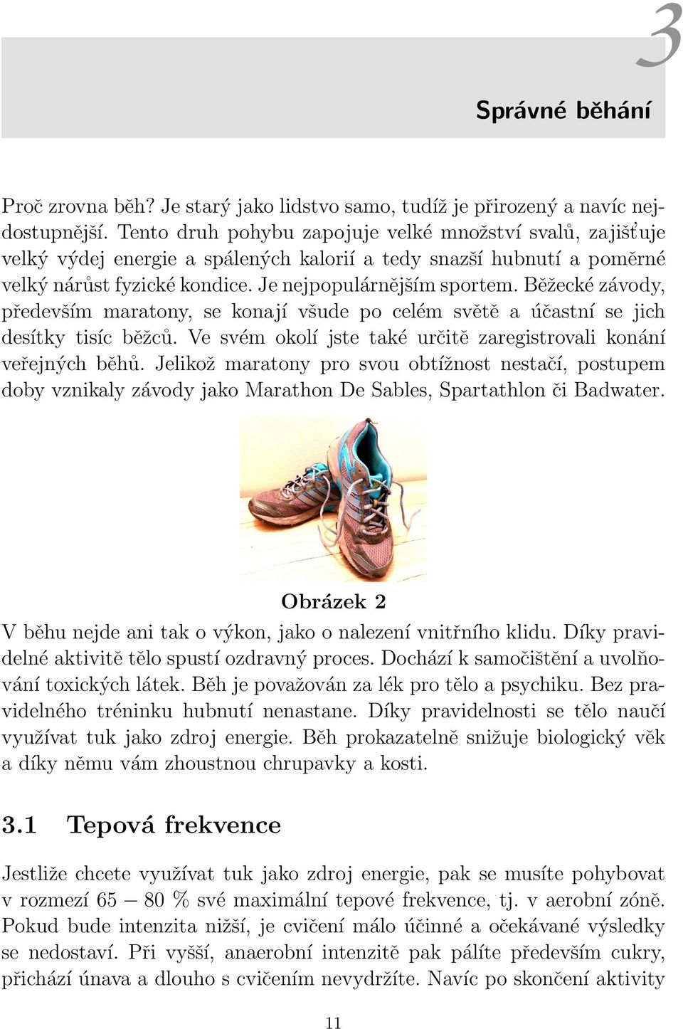 Běžecké závody, především maratony, se konají všude po celém světě a účastní se jich desítky tisíc běžců. Ve svém okolí jste také určitě zaregistrovali konání veřejných běhů.